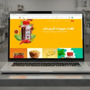 پیاده سازی سایت صنایع بسته بندی غذایی پیلیش