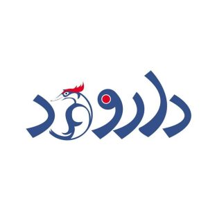 نمونه طراحی لوگو خلاقانه و حرفه‌ای با سبک مدرن توسط ریتون وب