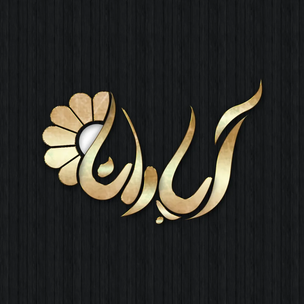 طراحی لوگو فروشگاه لوازم خانگی آپادانا توسط ریتون وب استودیو با سبک خلاقانه و حرفه‌ای