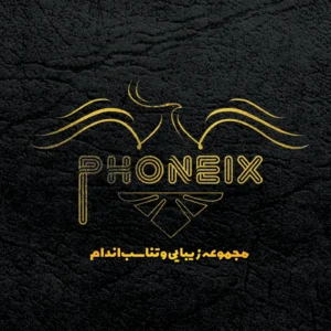طراحی لوگوی خلاقانه و ورزشی برای باشگاه تناسب اندام Phoneix